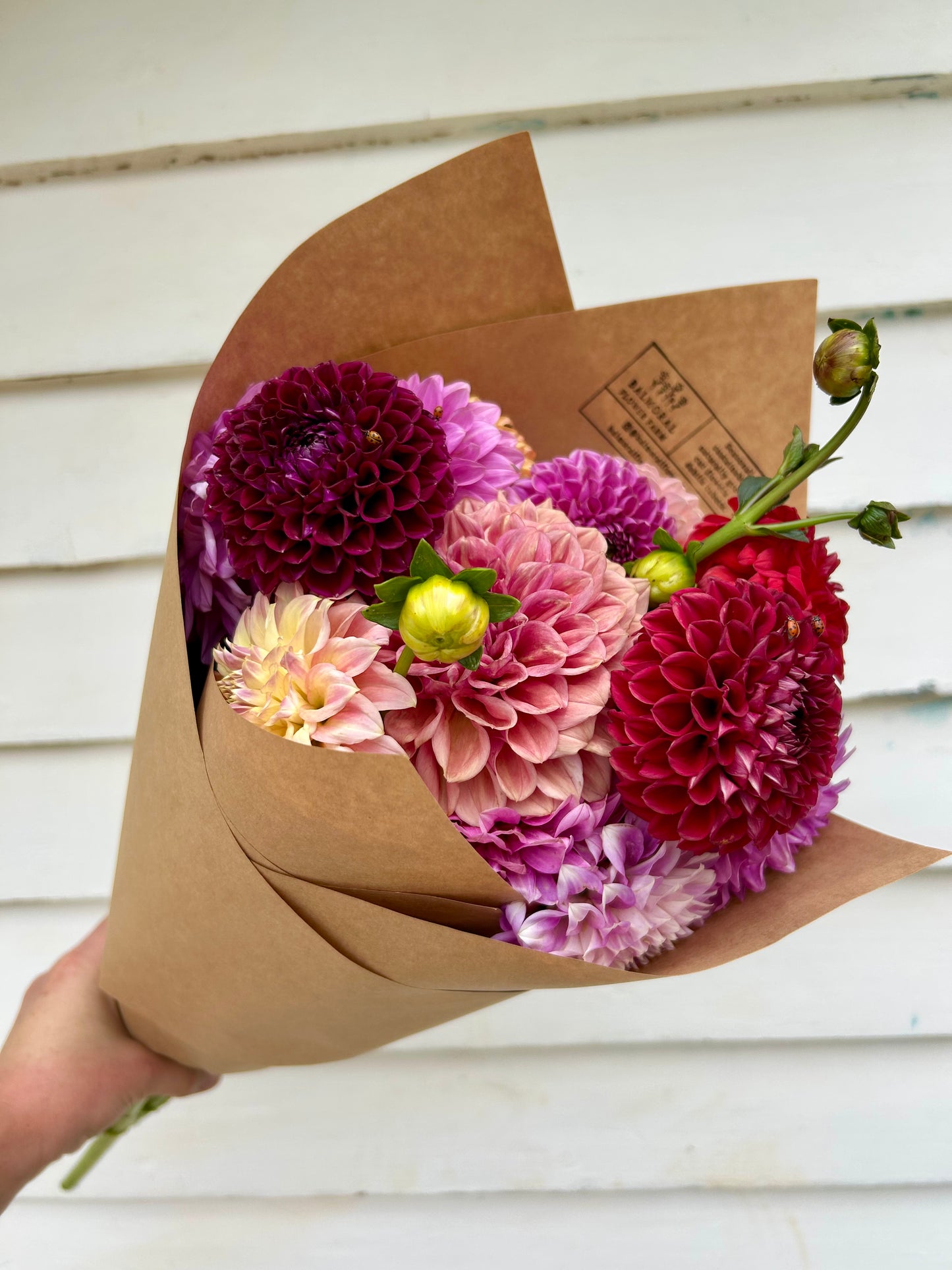 Dahlia Bouquet- Medium
