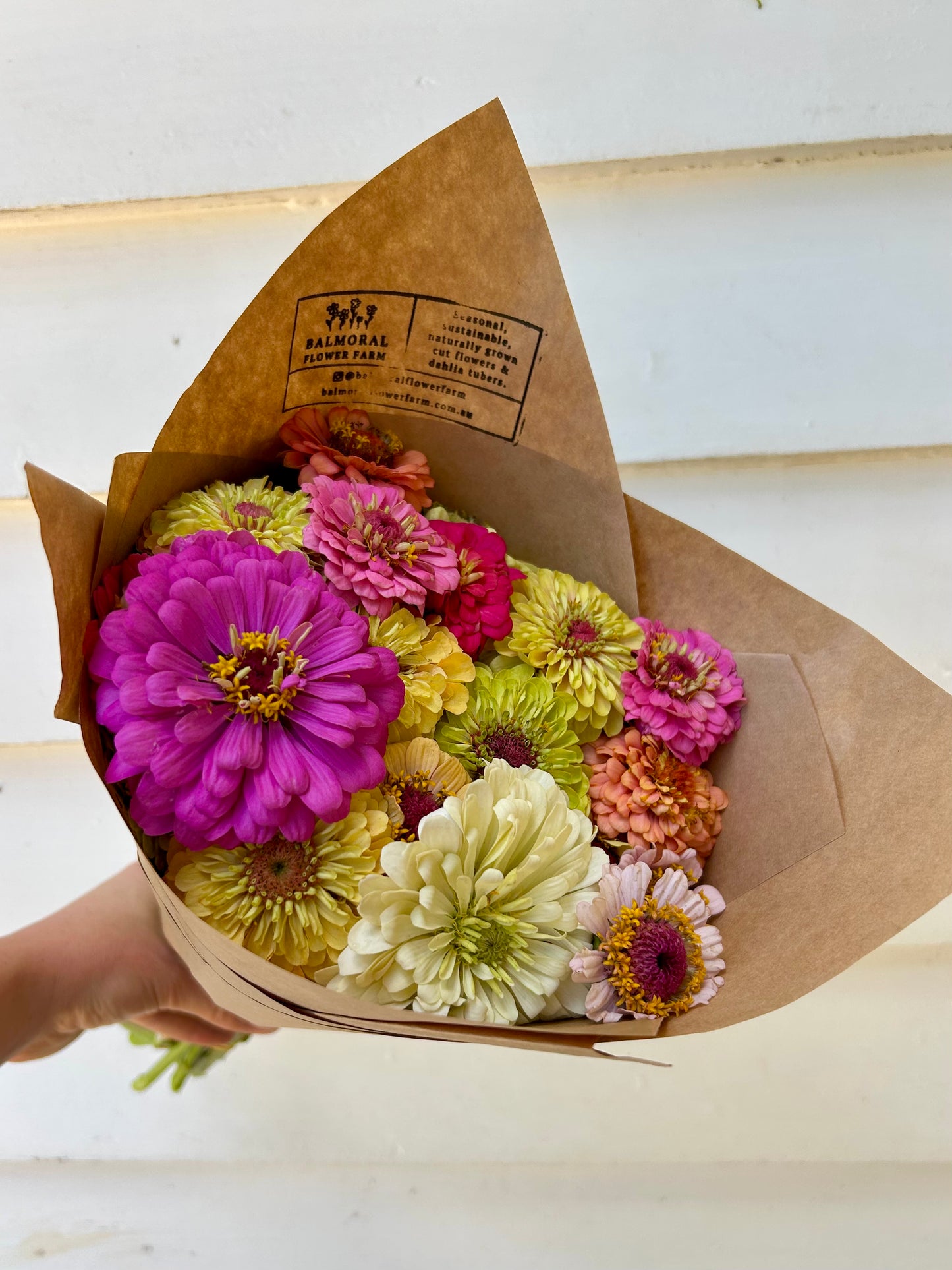 Zinnia Posy