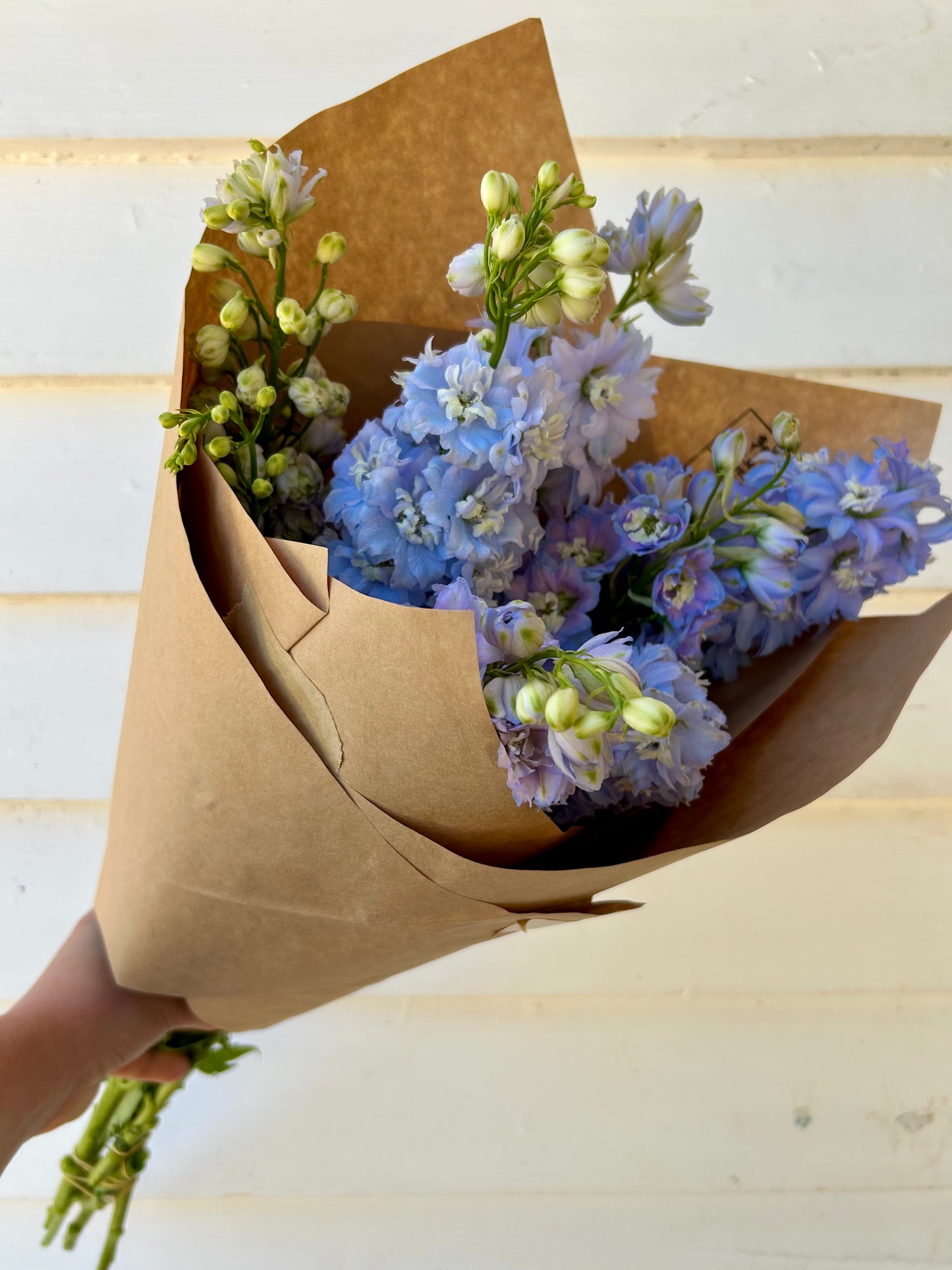 Delphinium Bouquet
