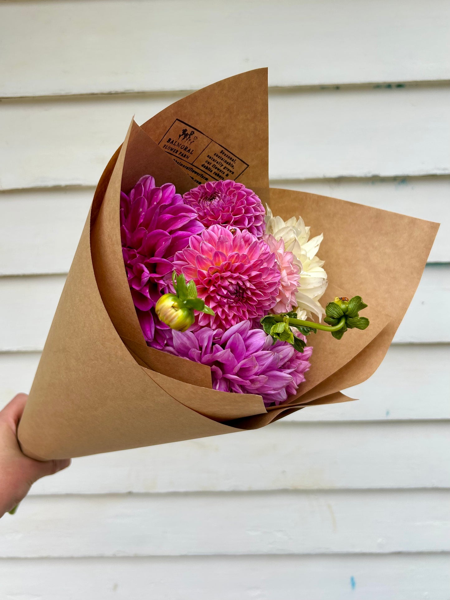Dahlia Bouquet- Small
