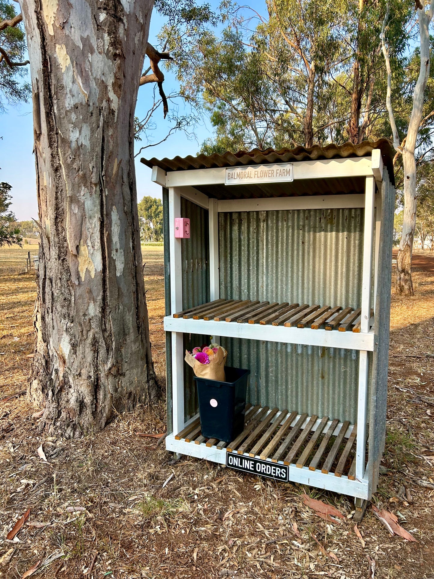 Farm Gate Blooms- Back in January!